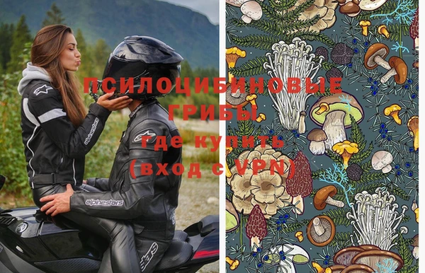 дурь Беломорск