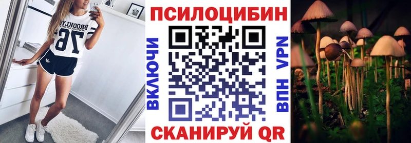 сколько стоит  Жердевка  Галлюциногенные грибы GOLDEN TEACHER 